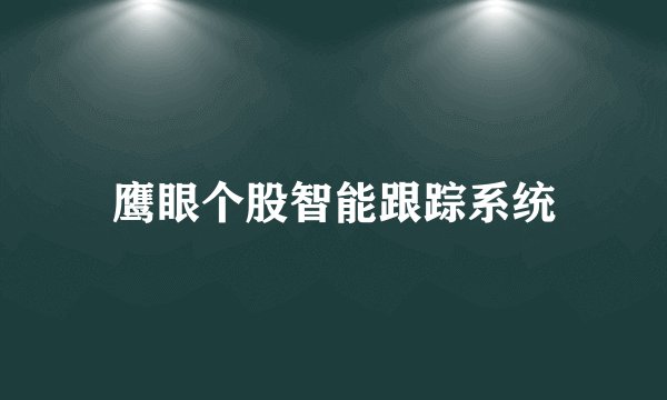 鹰眼个股智能跟踪系统