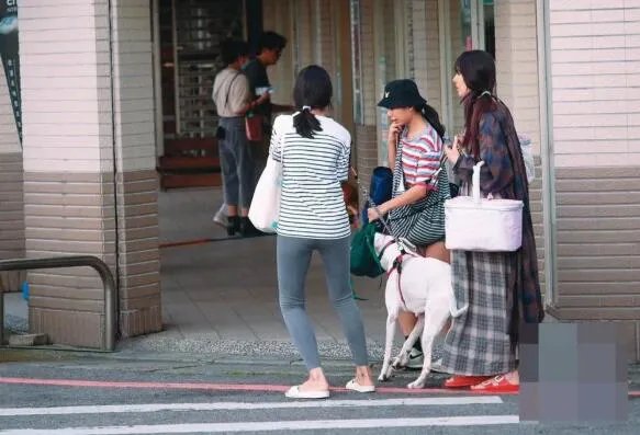 台媒曝郭碧婷怀孕 素颜大肚照曝光预产期在9月份