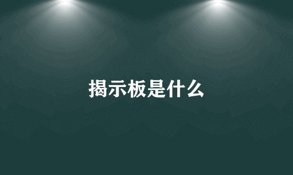 揭示板是什么