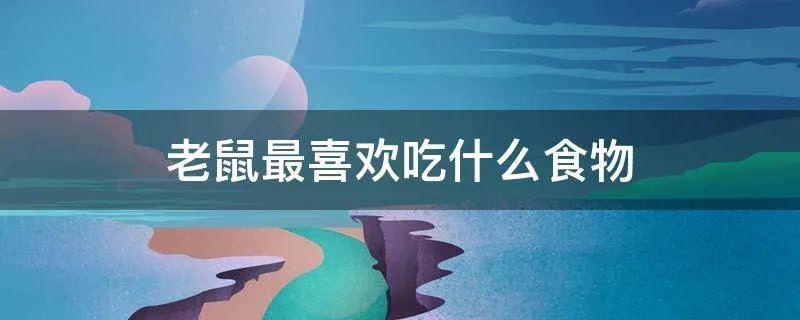 老鼠最喜欢吃什么食物