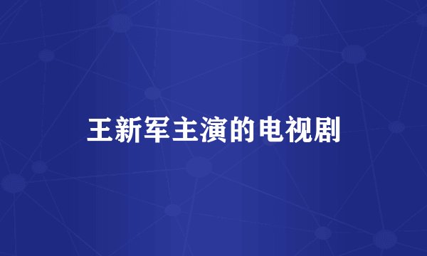 王新军主演的电视剧