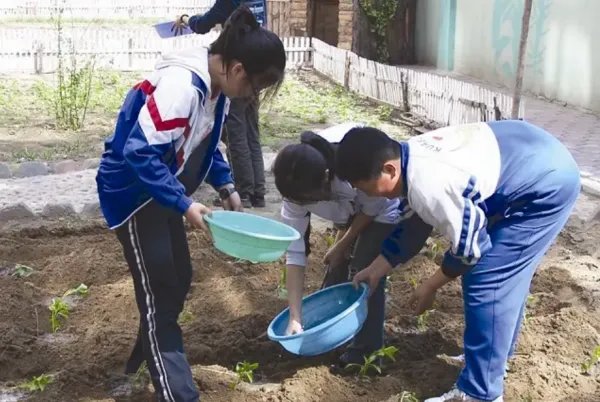 9月新学期,劳动课正式“升级”为中小学的独立课程,此举能解决哪些问题?