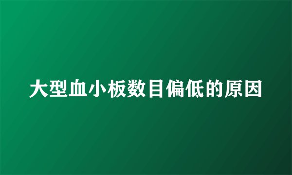 大型血小板数目偏低的原因