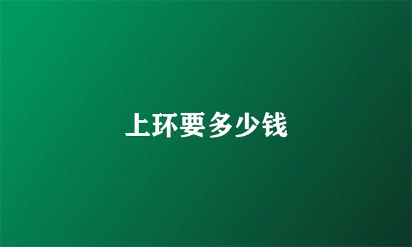 上环要多少钱