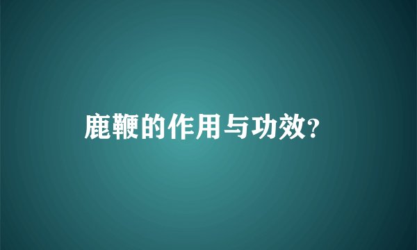 鹿鞭的作用与功效？