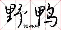 野鸭