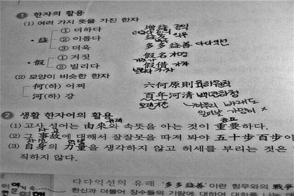 韩国人废除了汉字,为何又在身份证上保留汉字?