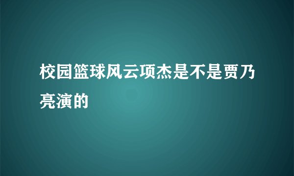 校园篮球风云项杰是不是贾乃亮演的
