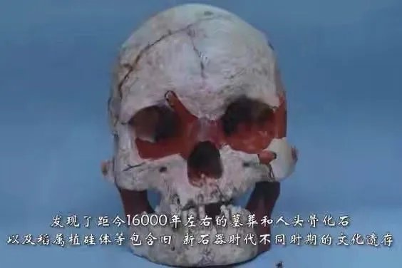 16000年前的人头骨化石被发现,骨化石主人生前是干啥的?有什么地位?
