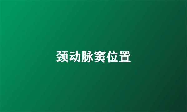 颈动脉窦位置