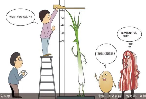 向钱葱的介绍