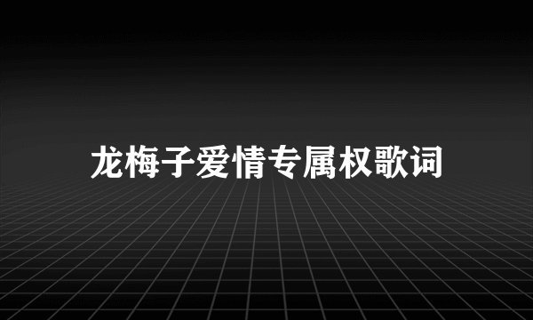 龙梅子爱情专属权歌词