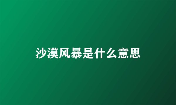 沙漠风暴是什么意思