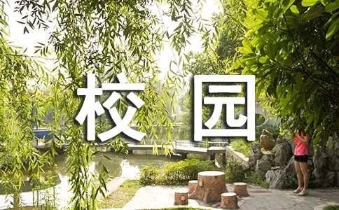 校园新闻稿