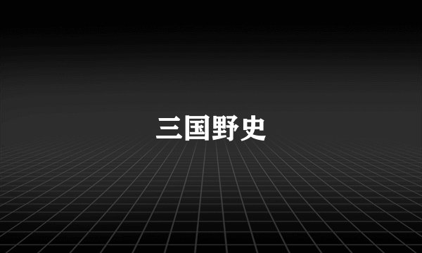 三国野史
