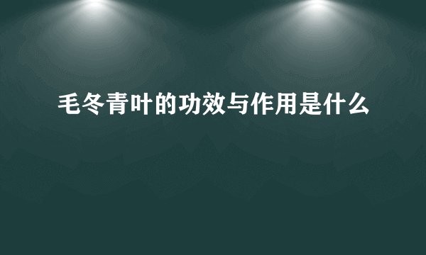 毛冬青叶的功效与作用是什么