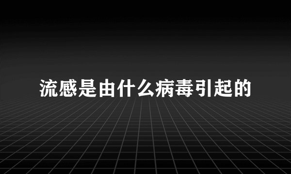流感是由什么病毒引起的