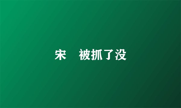 宋喆被抓了没