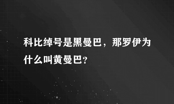 科比绰号是黑曼巴,那罗伊为什么叫黄曼巴?