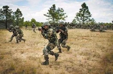 印急购16万枪支武装部队有何目的？
