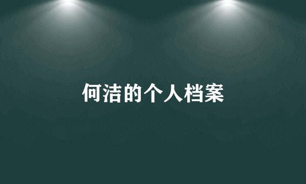 何洁的个人档案