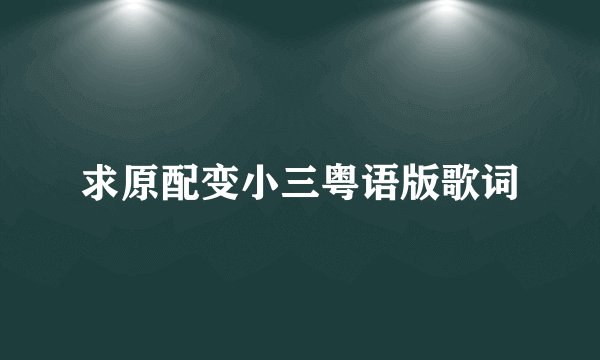 求原配变小三粤语版歌词