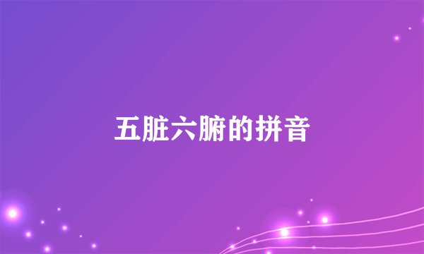 五脏六腑的拼音
