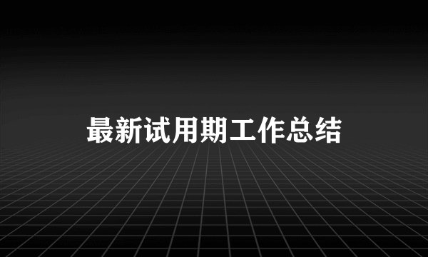 最新试用期工作总结