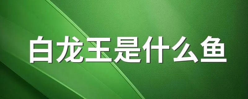 白龙王是什么鱼 白龙王鱼又名什么鱼