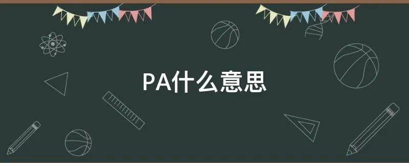 PA什么意思