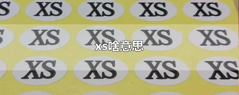 xs啥意思