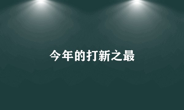 今年的打新之最