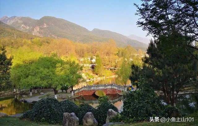 大理大学的樱花真的很多吗?好看吗?