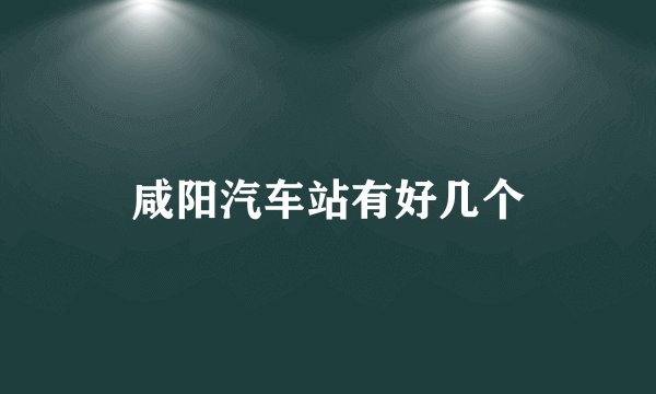 咸阳汽车站有好几个