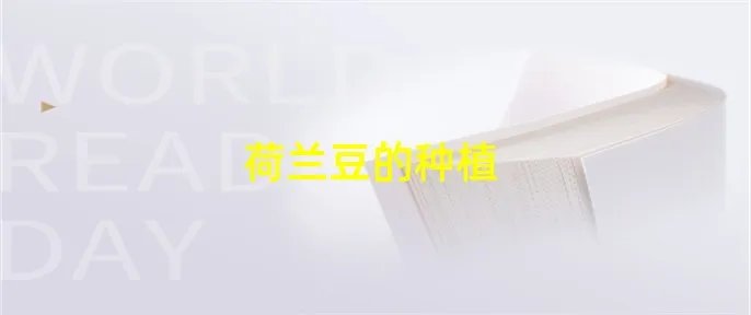 荷兰豆的种植