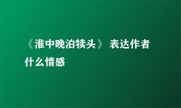 《淮中晚泊犊头》 表达作者什么情感