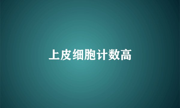 上皮细胞计数高