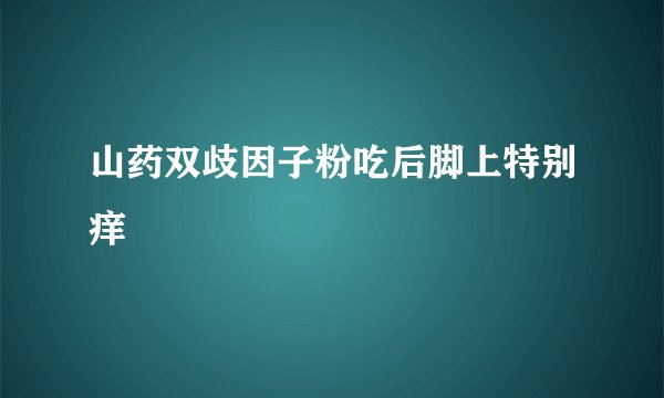山药双歧因子粉吃后脚上特别痒