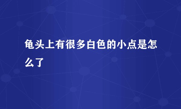 龟头上有很多白色的小点是怎么了