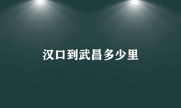 汉口到武昌多少里