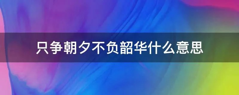 只争朝夕不负韶华什么意思