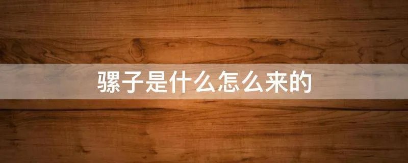 骡子是什么怎么来的