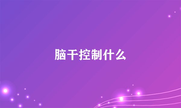脑干控制什么