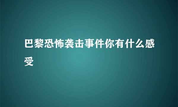 巴黎恐怖袭击事件你有什么感受