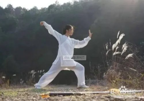 太极功夫扇第一套口令指哪些？