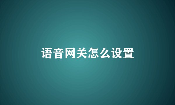 语音网关怎么设置