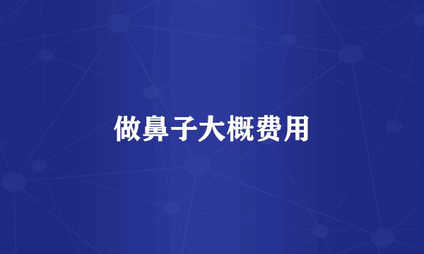 做鼻子大概费用