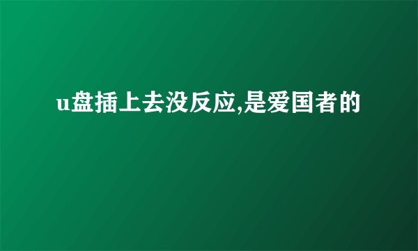 u盘插上去没反应,是爱国者的