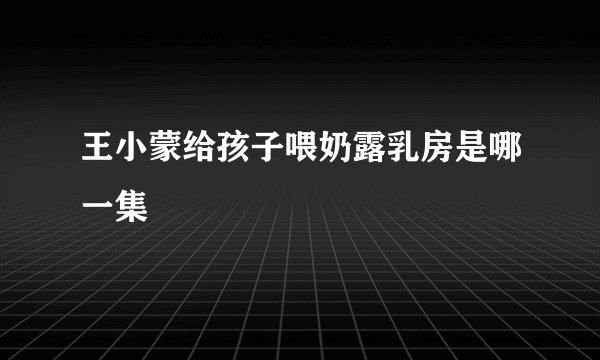 王小蒙给孩子喂奶露乳房是哪一集