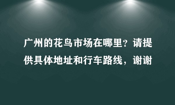 广州的花鸟市场在哪里？请提供具体地址和行车路线，谢谢